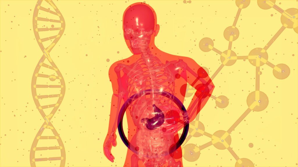 découvrez tout ce que vous devez savoir sur le microbiote, ses fonctions, son importance pour la santé et comment en prendre soin.