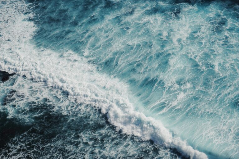 la rétention d'eau, également connue sous le nom d'œdème, est une accumulation anormale de liquide dans les tissus du corps, souvent causée par des problèmes de circulation sanguine ou des troubles médicaux.