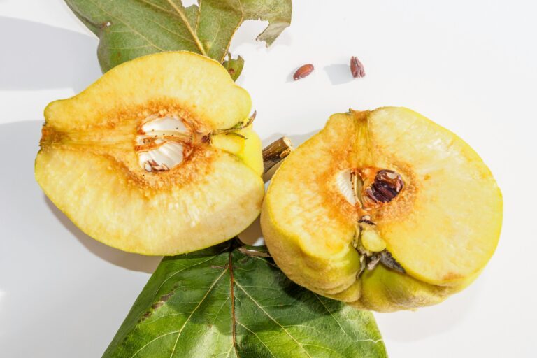 découvrez les bienfaits de la vitamine e et son rôle essentiel pour la santé de la peau, des cheveux et du système immunitaire. retrouvez des conseils pour intégrer la vitamine e dans votre alimentation et vos soins quotidiens.