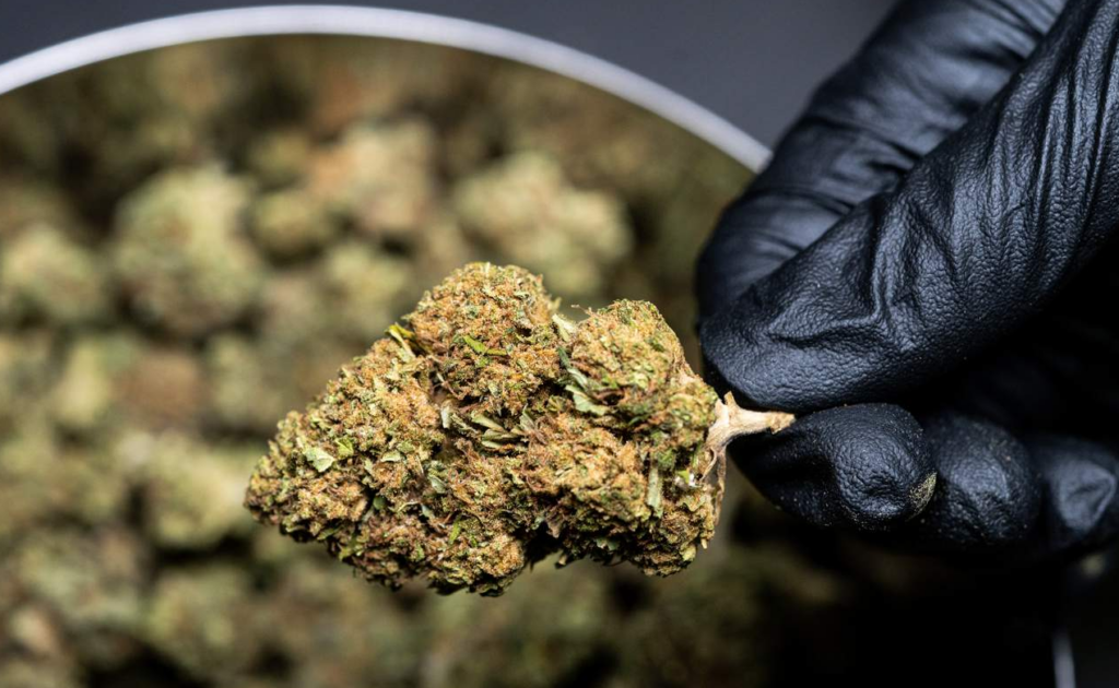 CBD Suisse pas cher !