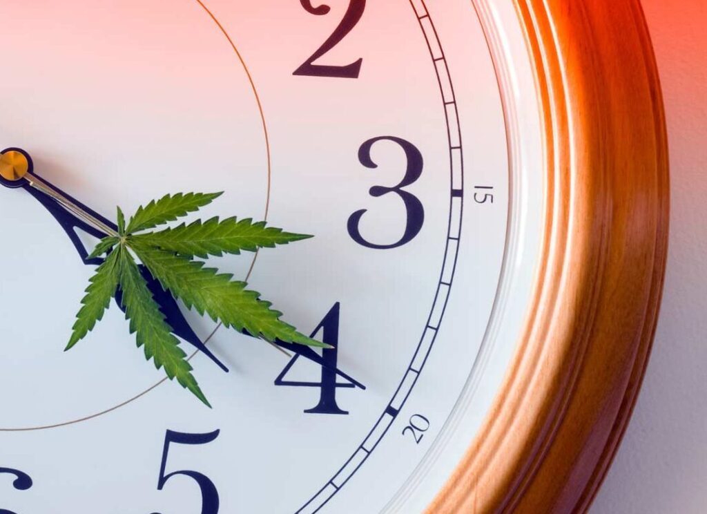 Quand faut-il prendre du CBD