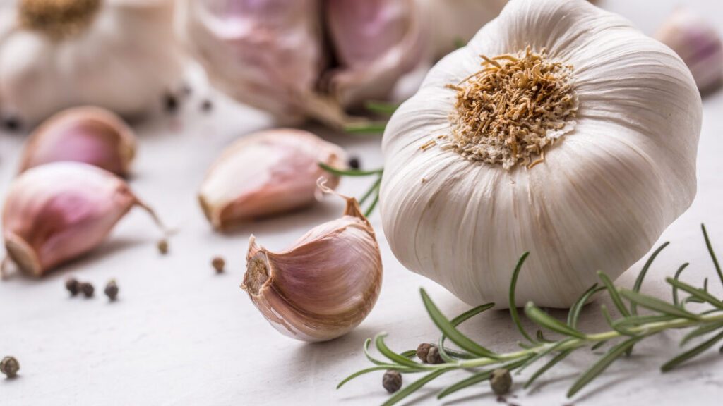 Bacopa et hypertension: peut-on réduire sa tension naturellement ?