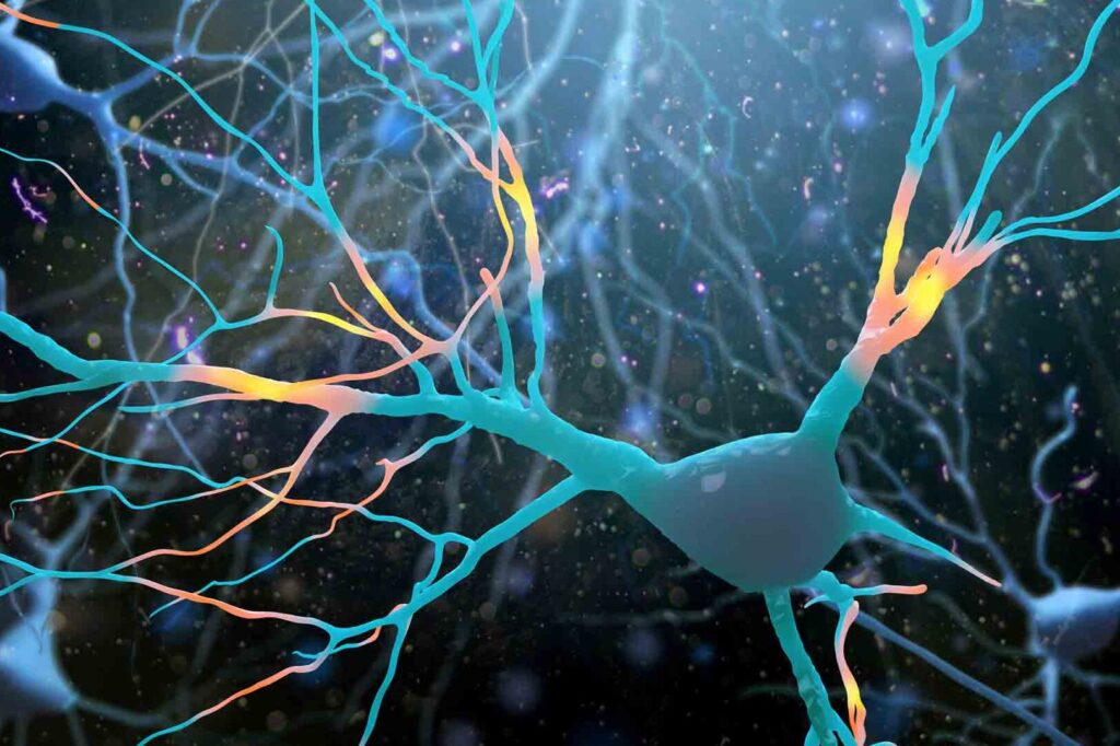 Comprendre la physiopathologie d’Alzheimer: avancées et implications pour le traitement