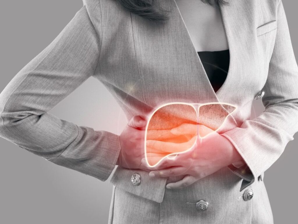 Quel est l&rsquo;organe responsable du stockage de la bile et comment fonctionne-t-il ?