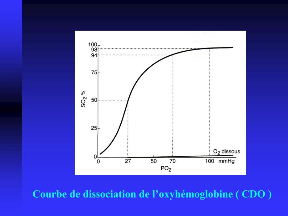 Comprendre la courbe de Barcroft et son importance en physiologie respiratoire