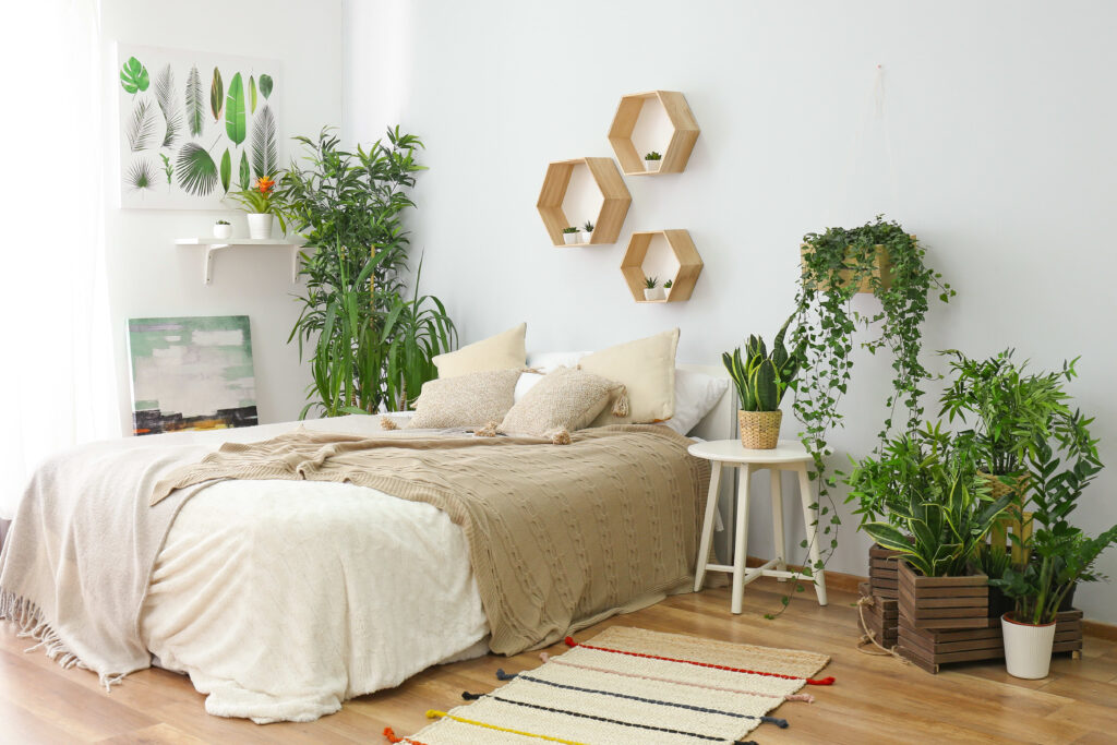 Les meilleures plantes vertes pour égayer votre chambre