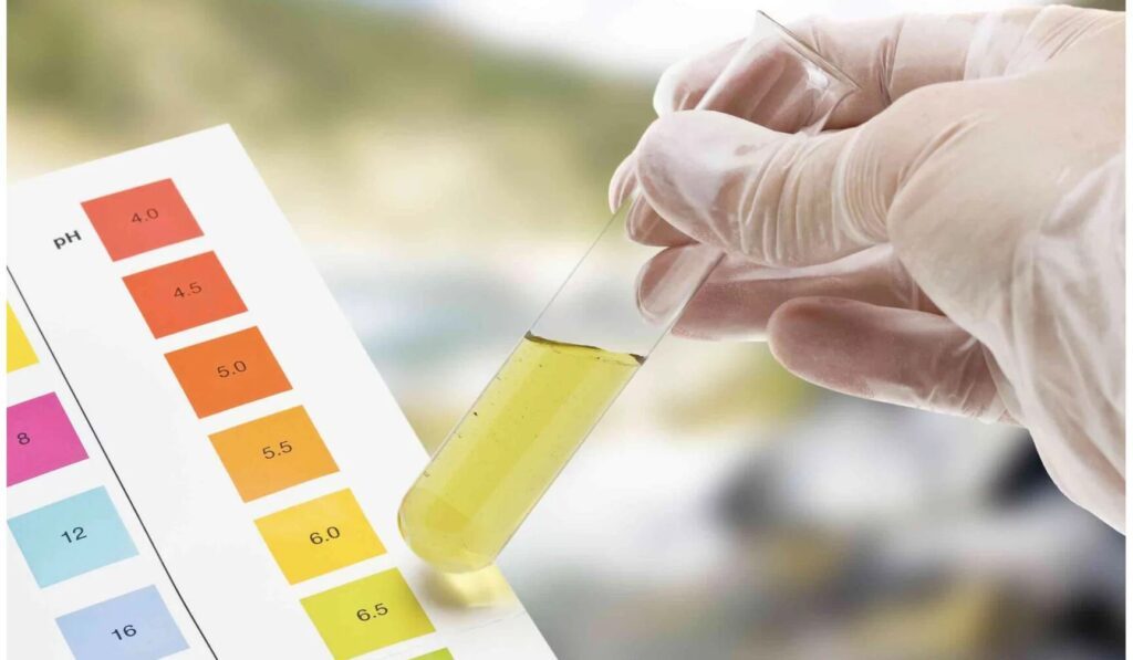 Comment mesurer le pH de votre corps pour une meilleure santé ?