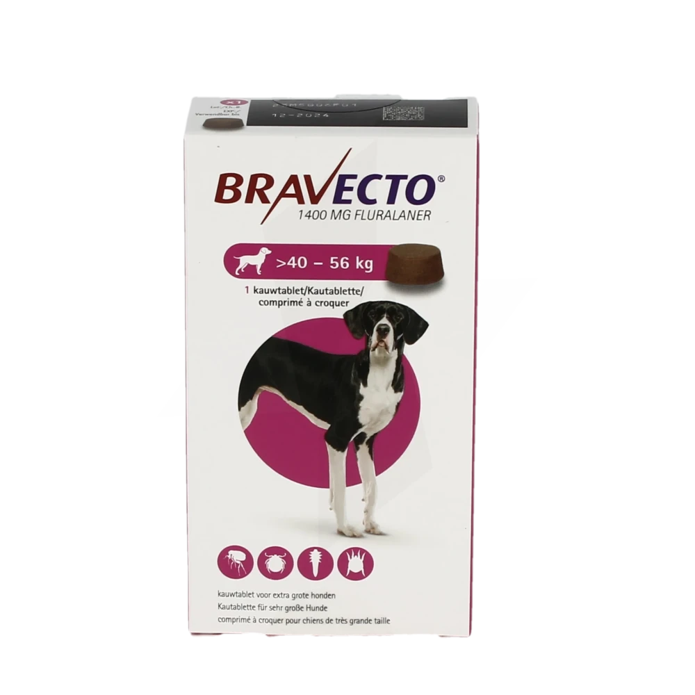 Bravecto comprimé grand chien