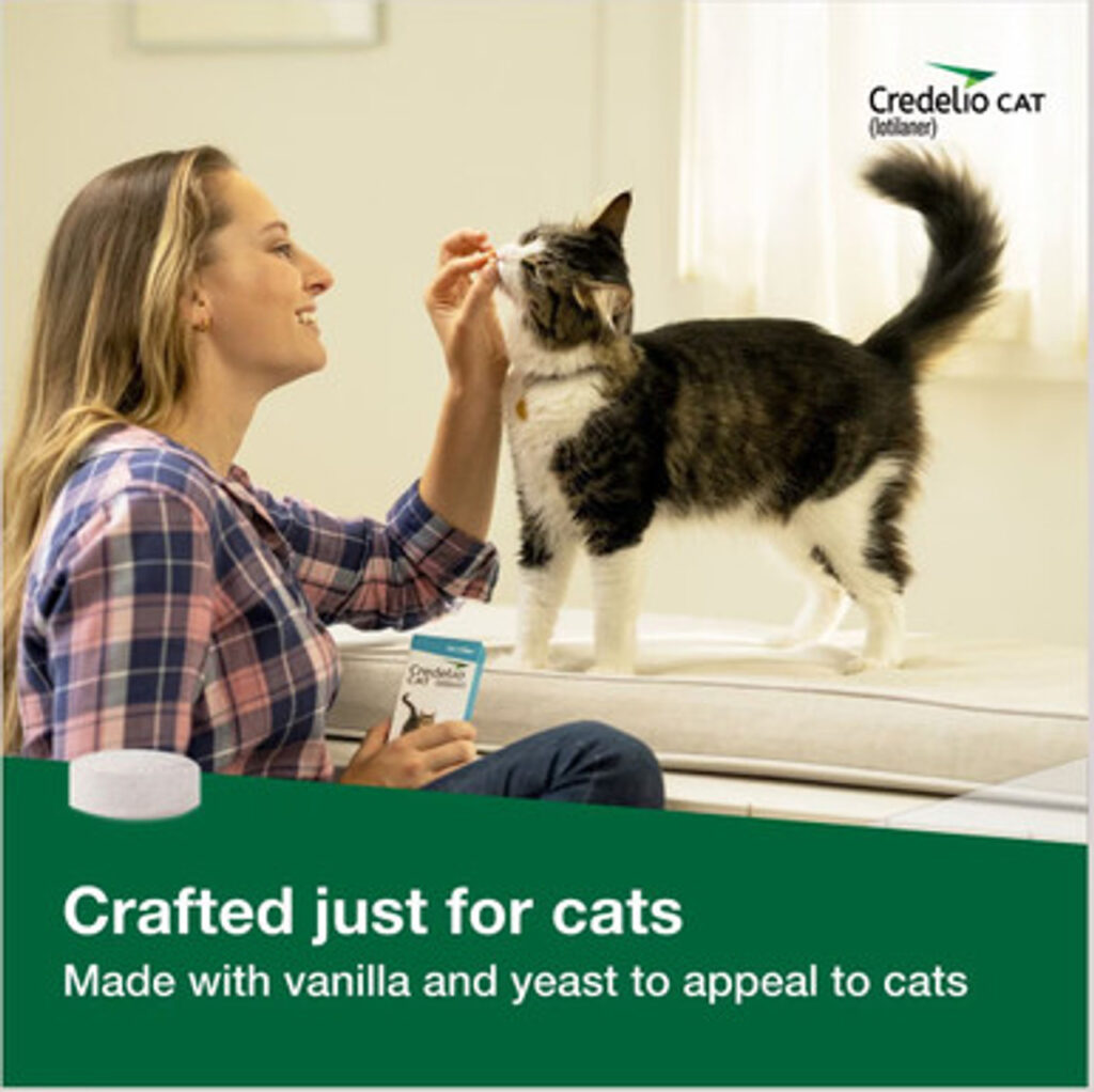 Boîte de Credelio pour chats, traitement antiparasitaire sans ordonnance