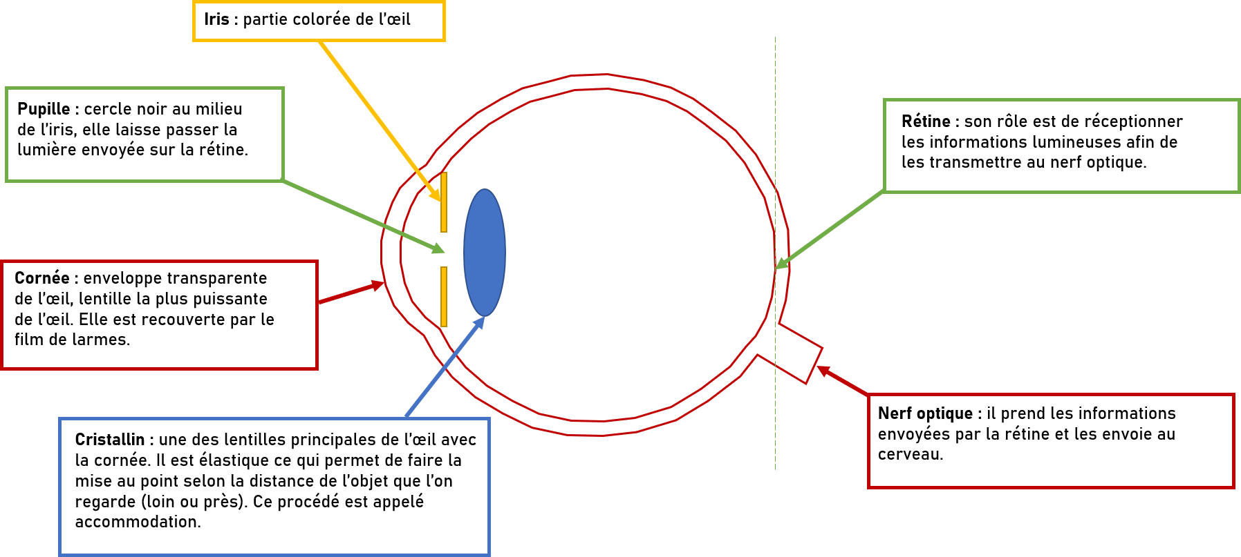 Ordonnance lentilles exemple