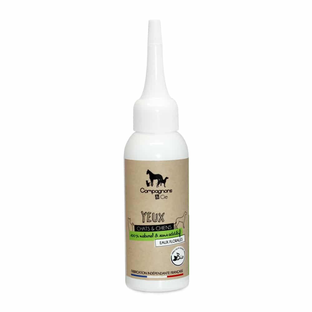 soin naturel conjonctivite chien