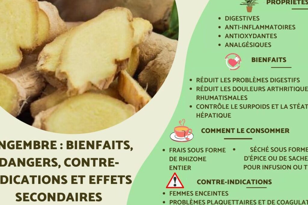 Gingembre : quelles sont ses contre-indications et comment les éviter ?