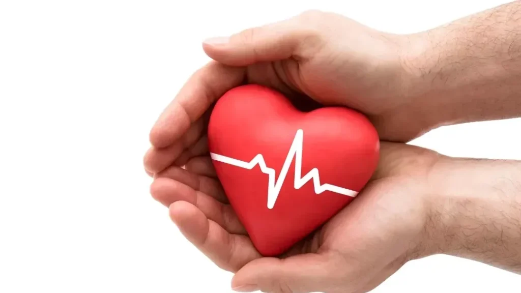 Comprendre les phases du cycle cardiaque : quels impacts sur votre santé ?